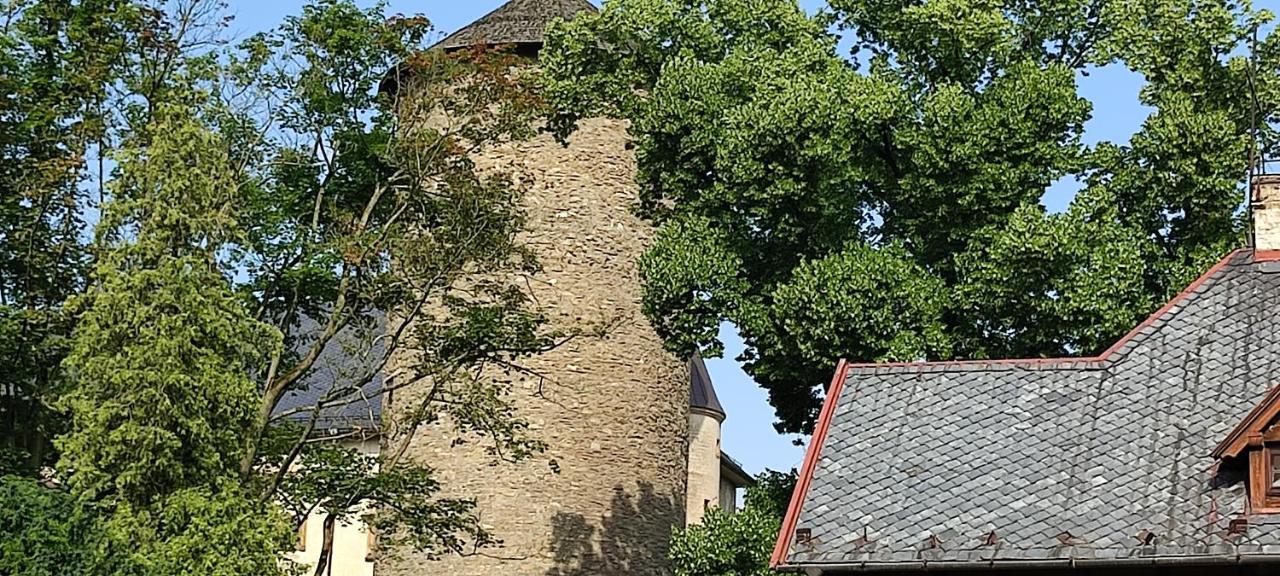 Apartman - Cafe Princ Pod Hradem Wifi, Klima Šternberk Buitenkant foto