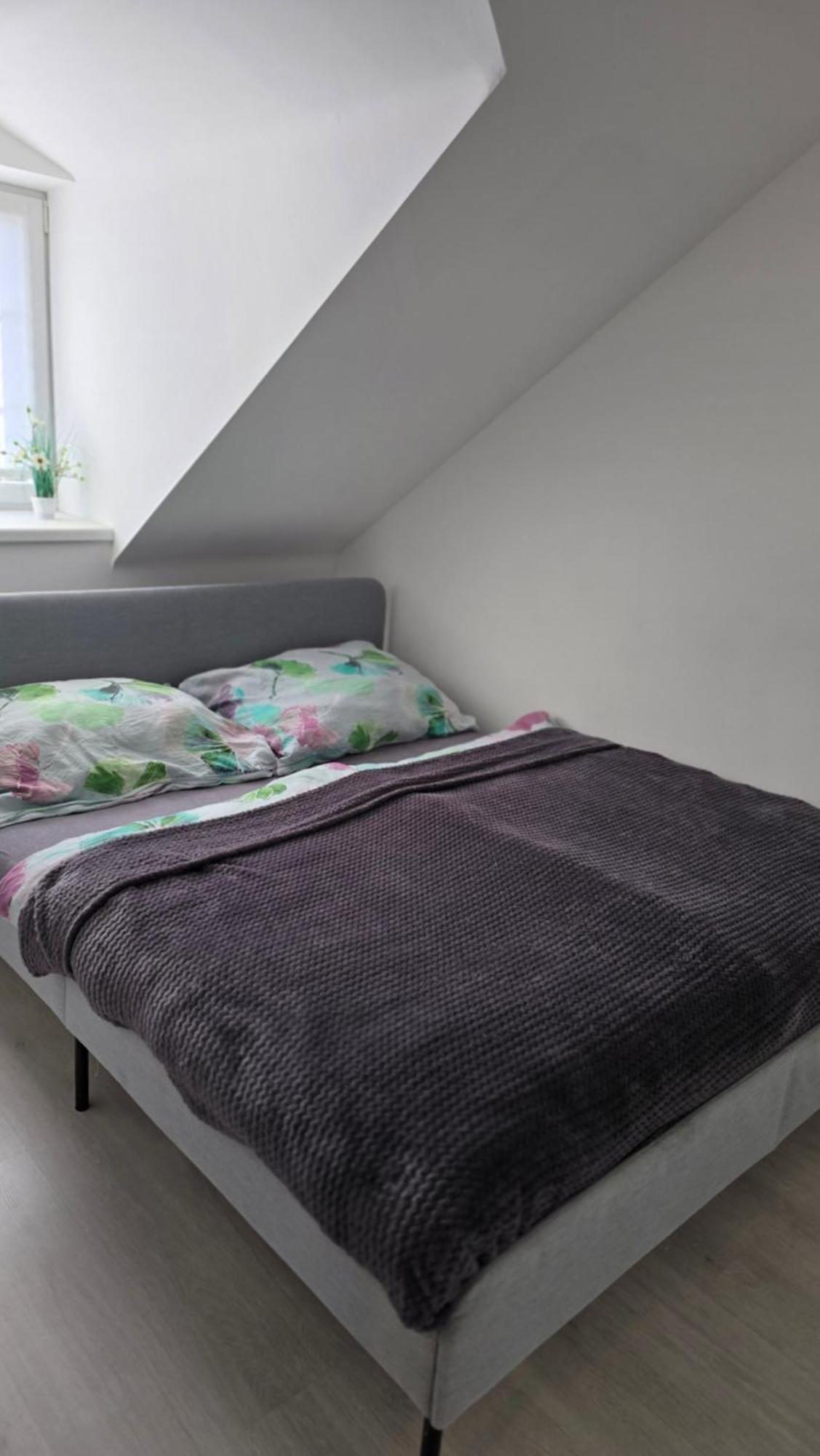 Apartman - Cafe Princ Pod Hradem Wifi, Klima Šternberk Buitenkant foto